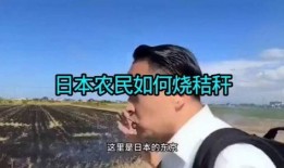 农民大哥爆料视频下载