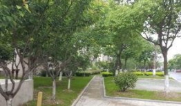 恒通佳苑最新爆料,揭秘神秘项目背后的惊人真相